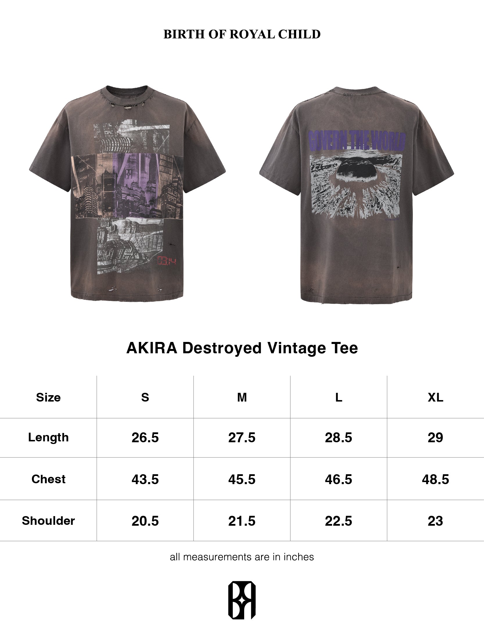 AKIRA Destroyed Vintage Tee